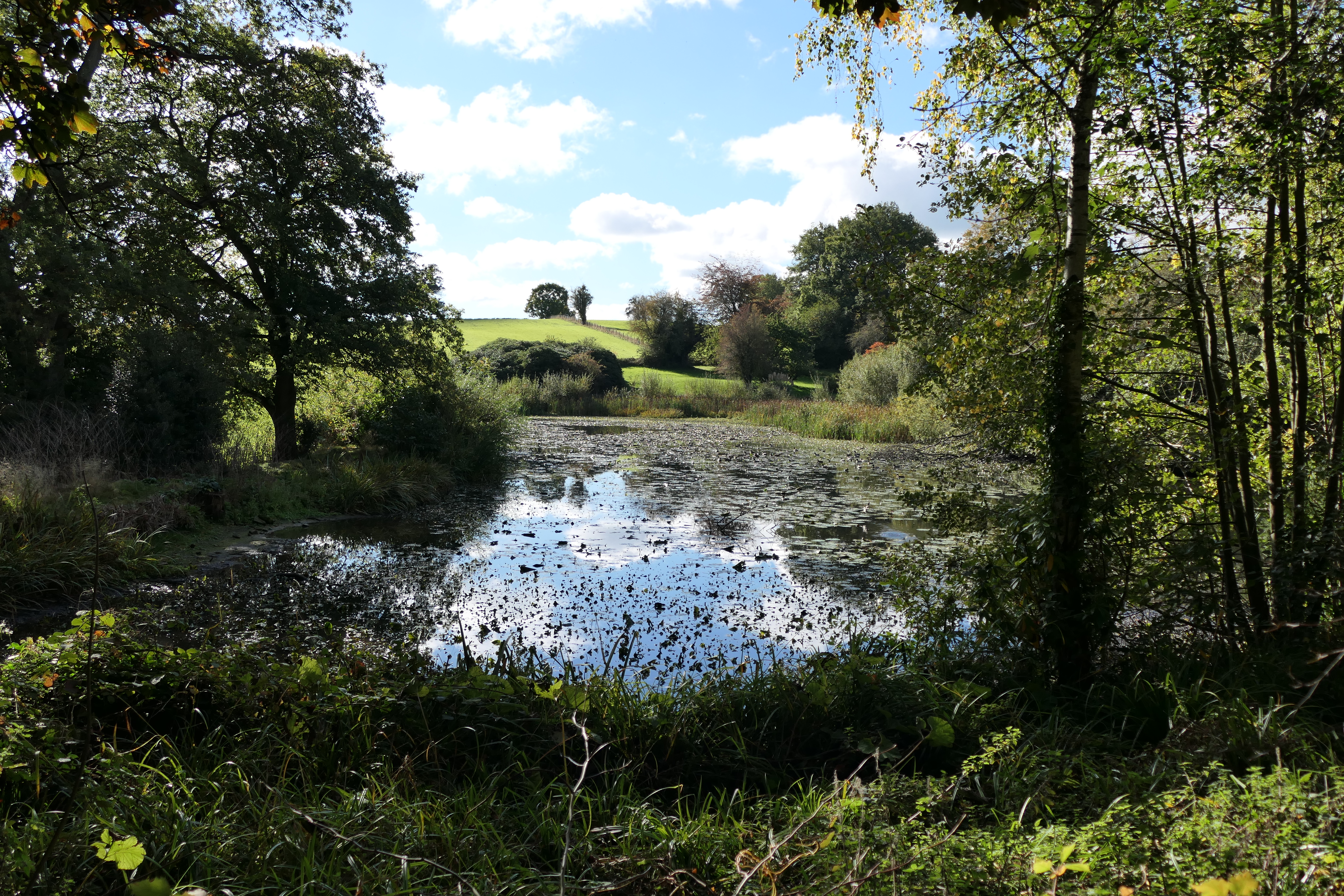 The Lake